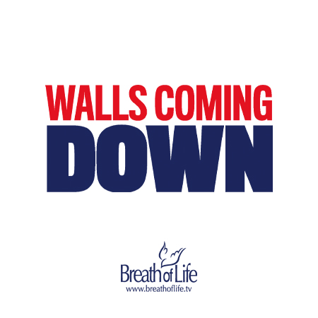 Walls Coming Down - DVD